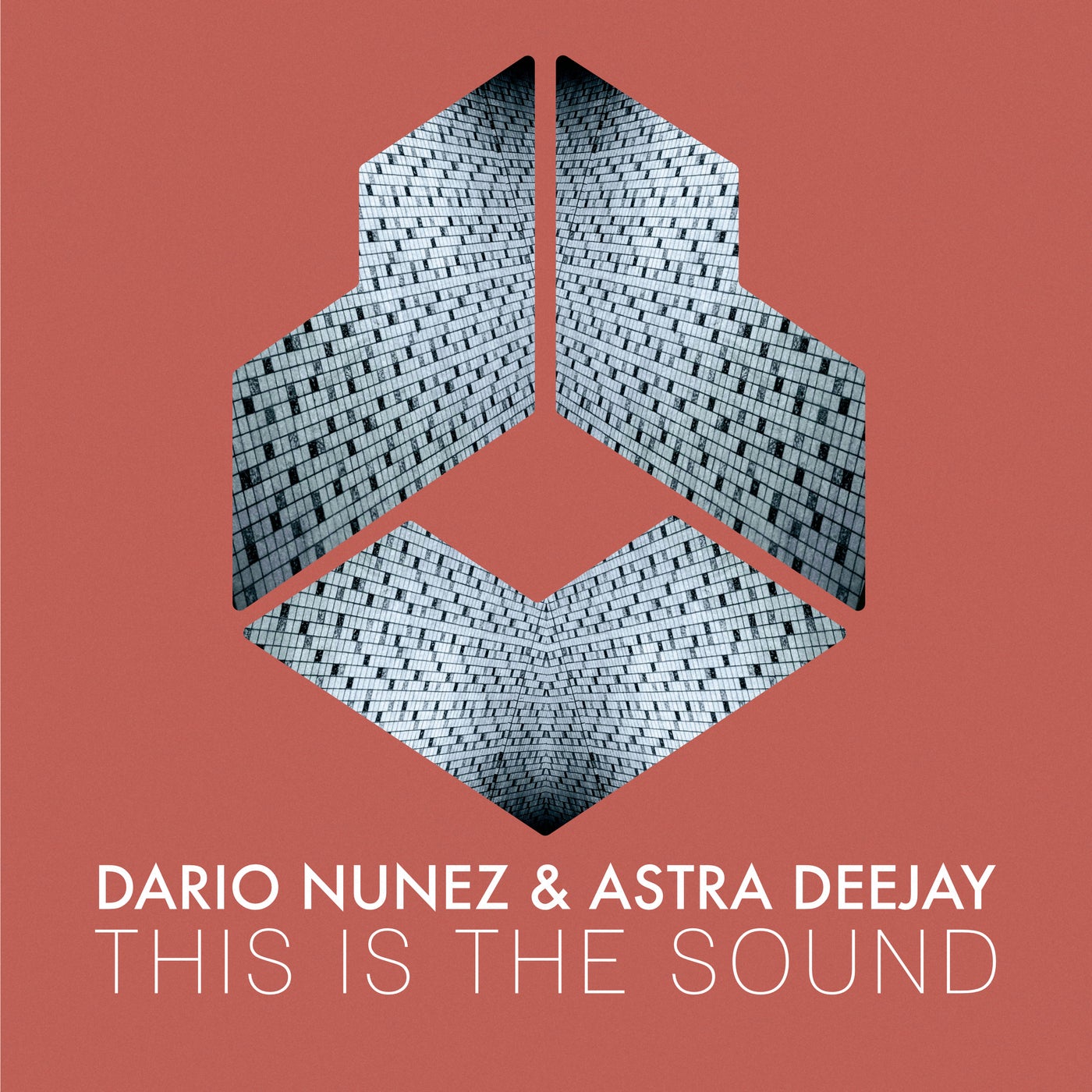 image cover: Dario Nunez, Astra Deejay - This Is The Sound on Darklight Recordings