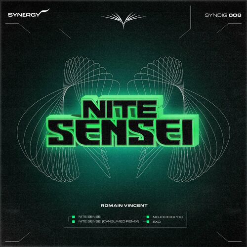 image cover: Romain Vincent - Nite Sensei on Synergy Records