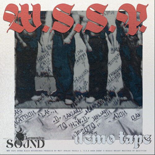 image cover: WSSP - Demo Tape on Sound Kemystry