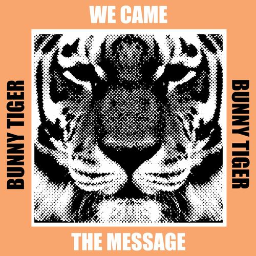 Release Cover: The Message Download Free on Electrobuzz