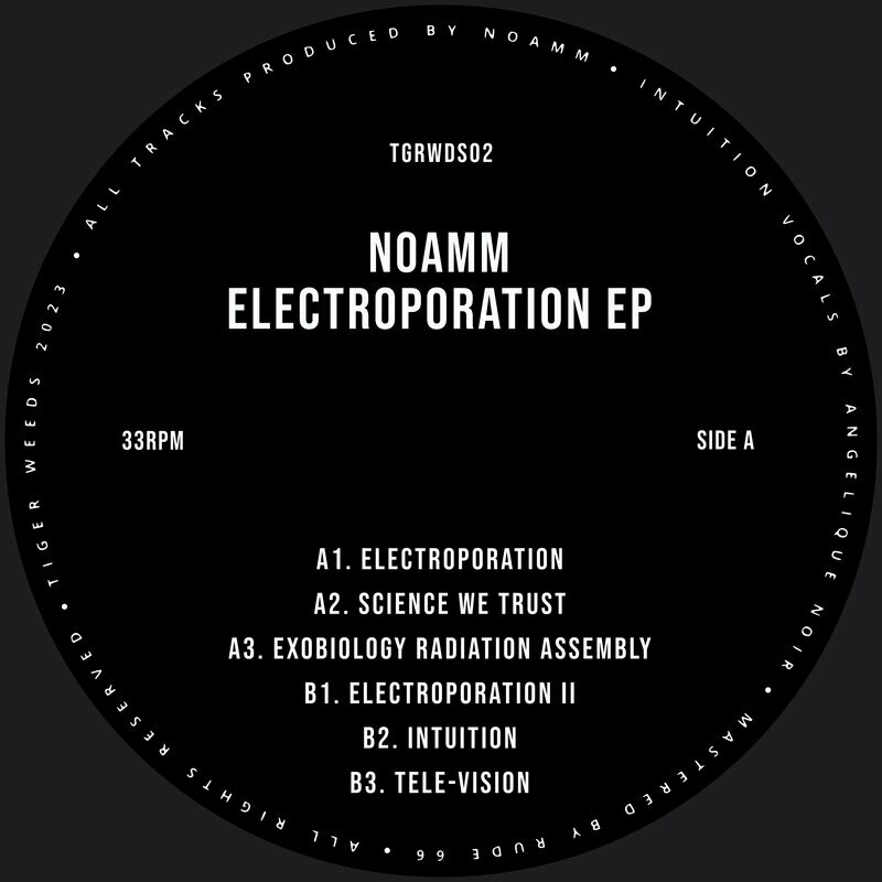 image cover: Noamm - Electroporation EP on Tiger Weeds