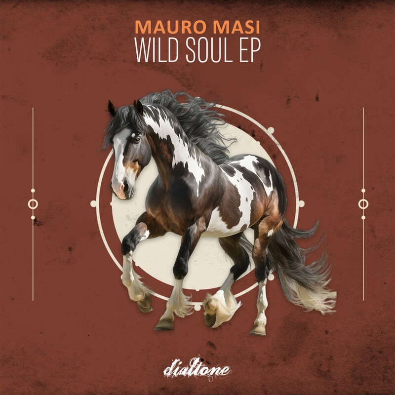 image cover: Mauro Masi - Wild Soul on Dialtone Records