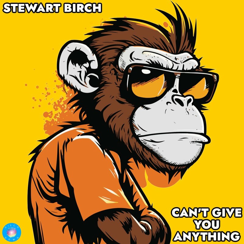 image cover: Stewart Birch - Can't Give You Anything on Disco Down