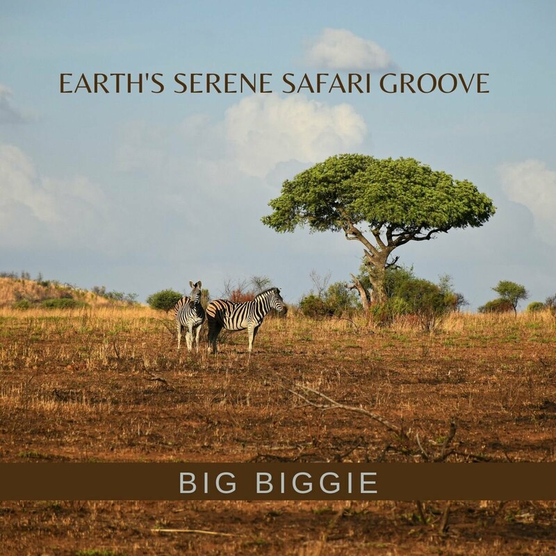 image cover: Big Biggie - Earth's Serene Safari Groove on Nathaniel Basimane Moikabi