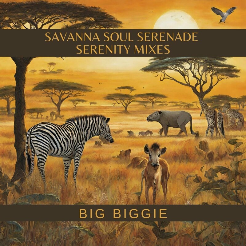 image cover: Big Biggie - Savanna Soul Serenade (Serenity Mixes) on Nathaniel Basimane Moikabi