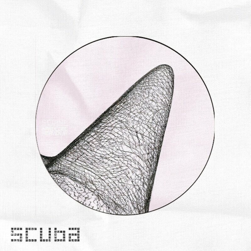 image cover: Scuba - i wna doit nth bckst (Digital Underground) on Hotflush Recordings