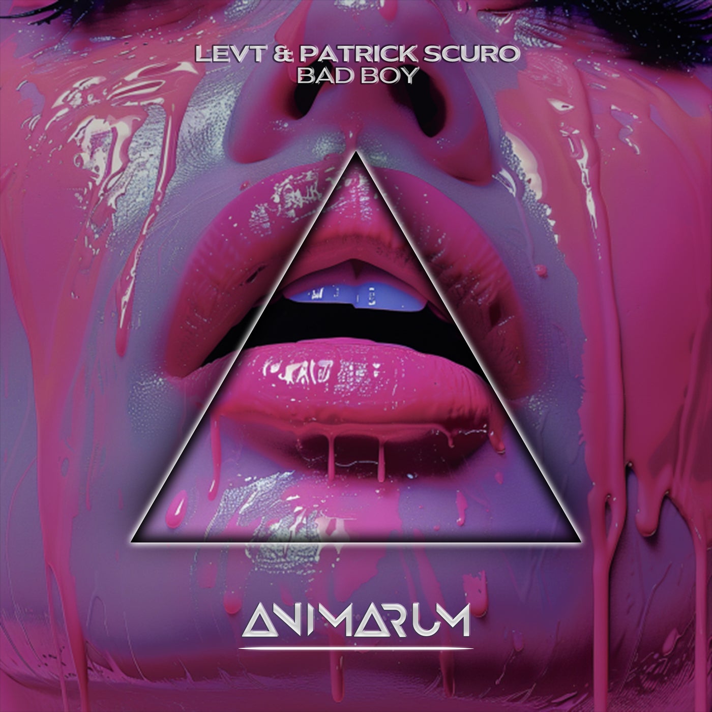 image cover: LEVT, Patrick Scuro - Bad Boy on Animarum Recordings