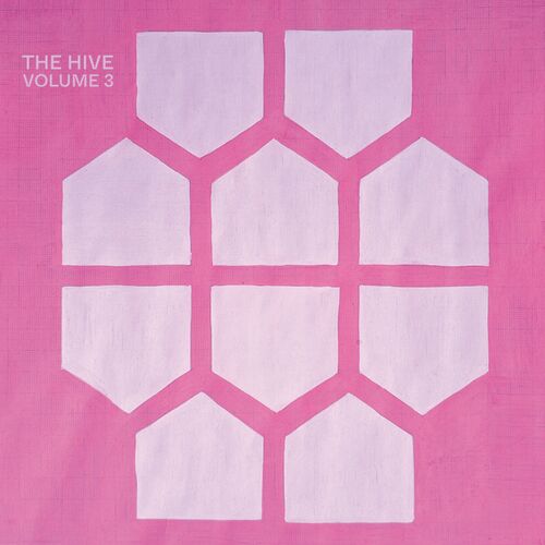 image cover: Various Artists - The Hive - Volume 3 on Neighbourhood