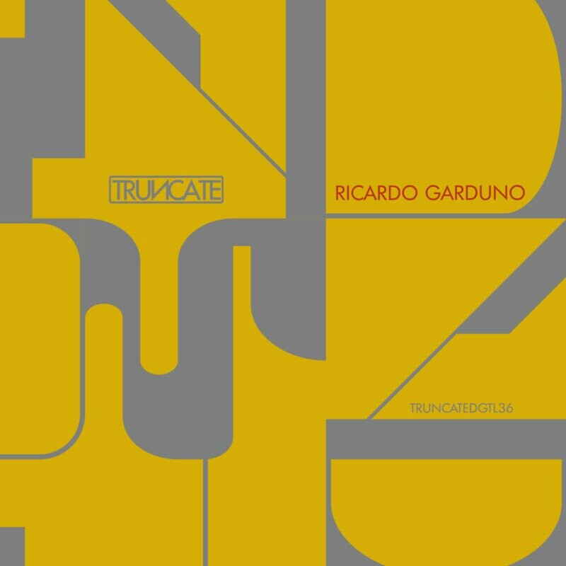 image cover: Ricardo Garduno - Non Sense on Truncate