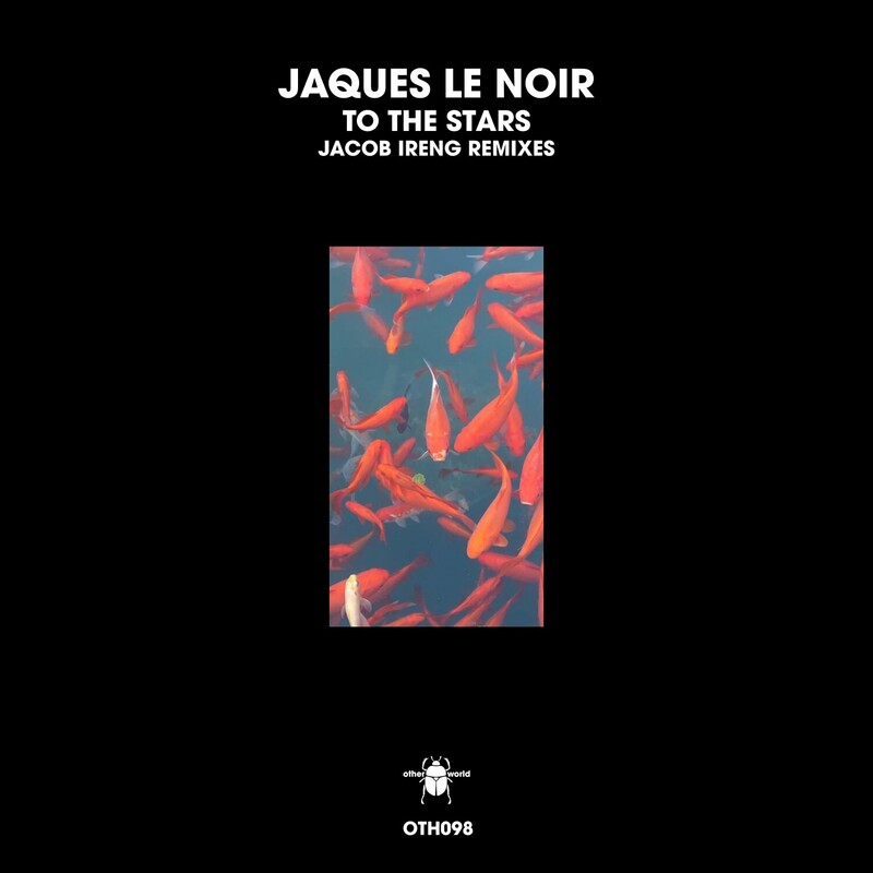 image cover: Jaques Le Noir - To the Stars (Jacob Ireng Remixes) on otherworld