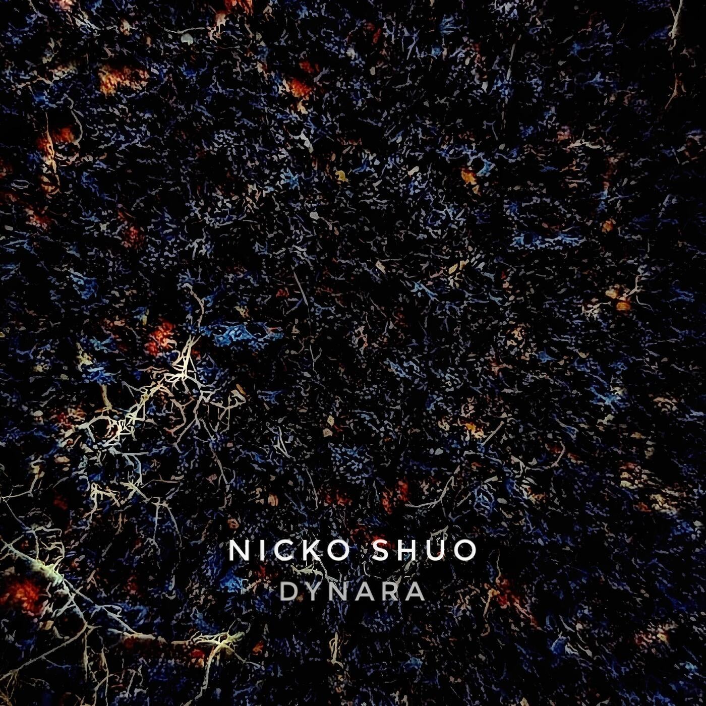 image cover: Nicko Shuo - Dynara EP on RK District