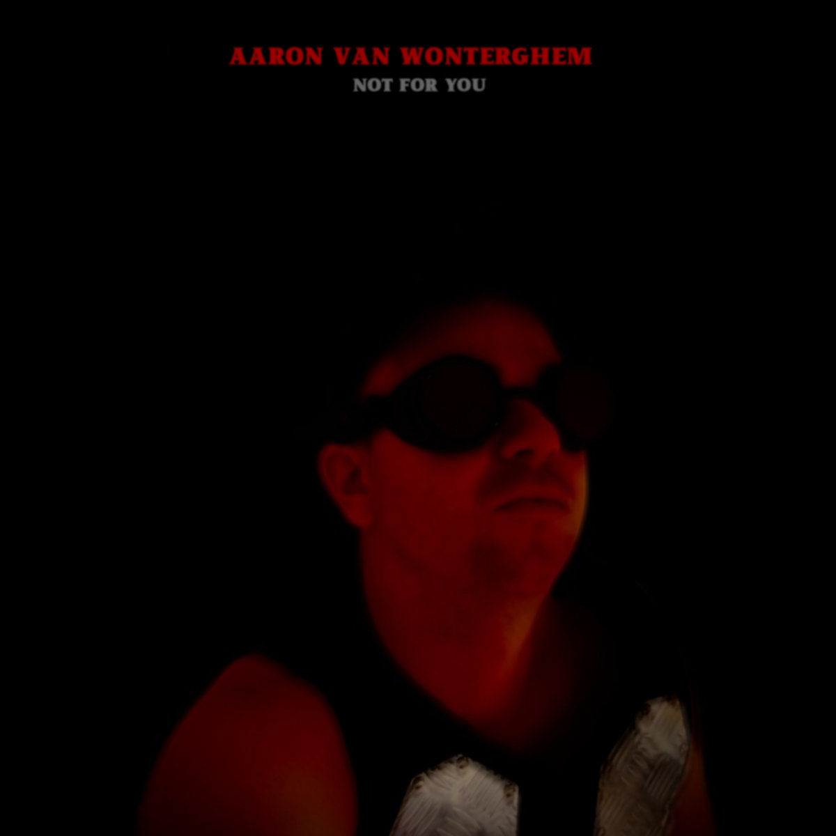 image cover: Aaron Van Wonterghem - Not For You on S.O.M Records