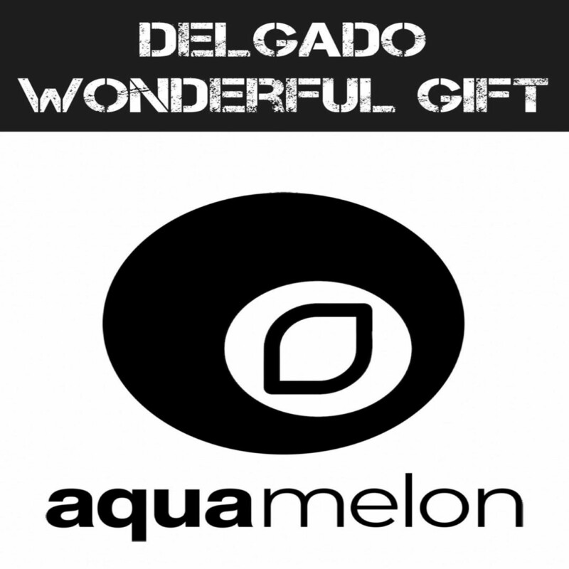 image cover: Delgado - Wonderful Gift on Aquamelon