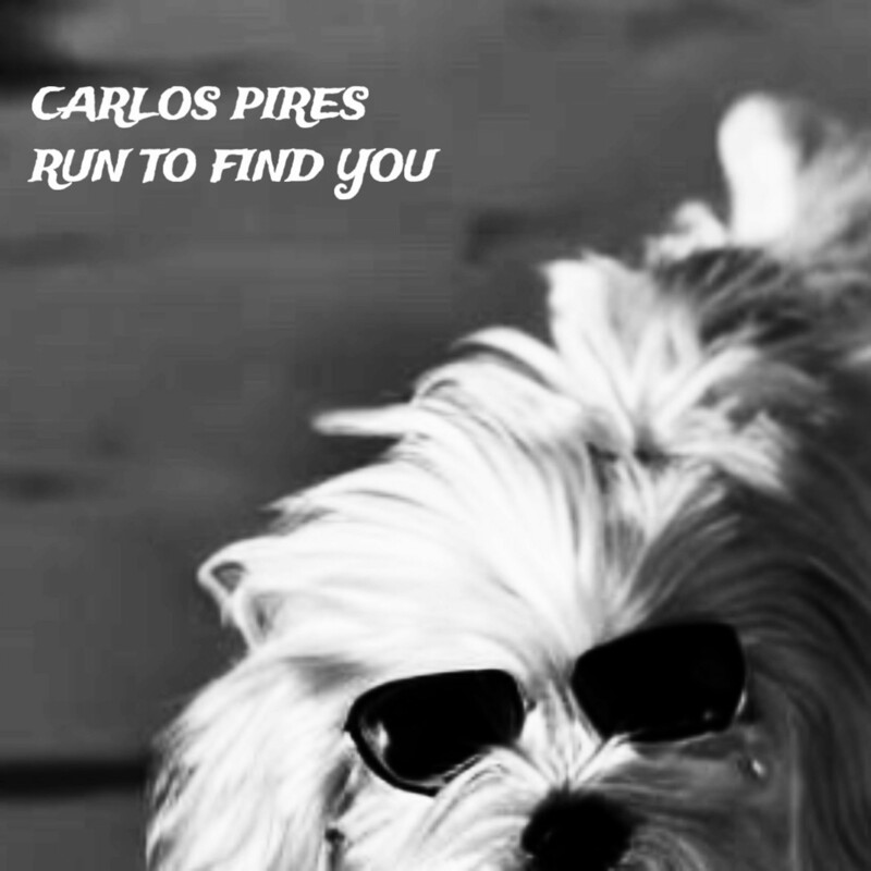 image cover: Carlos Pires - Run To Find You on Cause Org Records