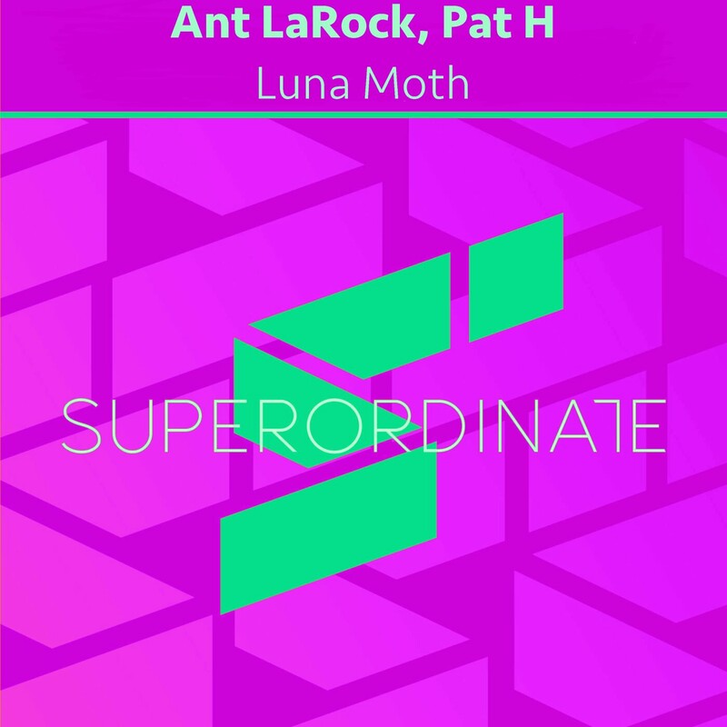 image cover: Ant LaRock - Luna Moth on Superordinate Music