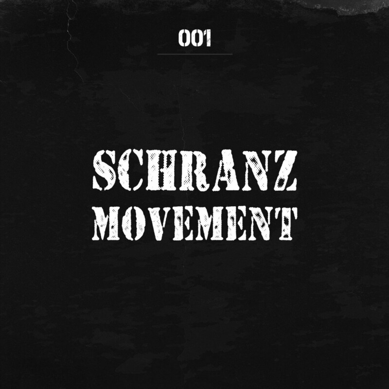 image cover: Dstm - Touch of Flame on Schranz Movement