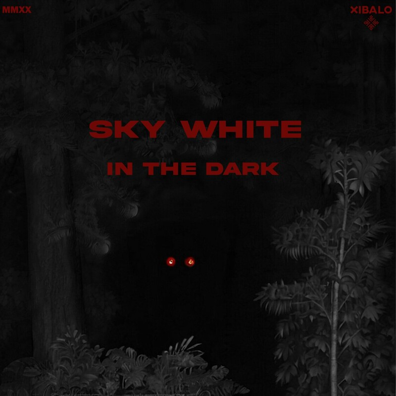 image cover: Sky White - In the Dark on Xibalo