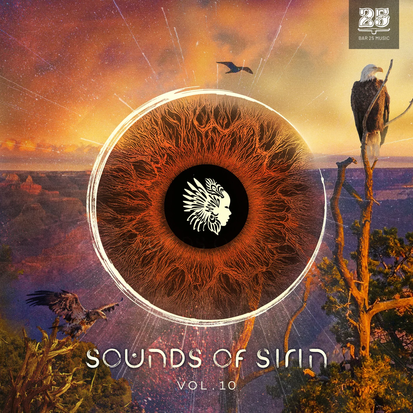 Release Cover: Bar 25 Music Presents: Sounds of Sirin Vol.10 Download Free on Electrobuzz