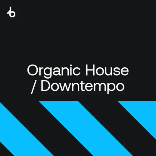 Chart Cover: Best of Hype 2024: Organic House  Download Free on Electrobuzz