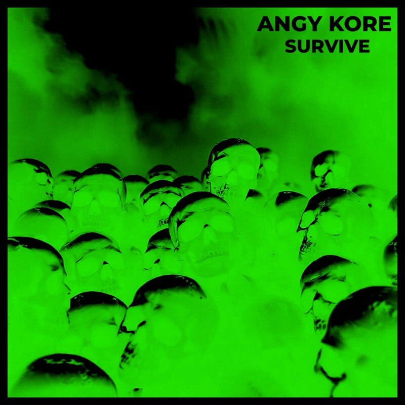 image cover: Angy Kore - Survive on Himmel