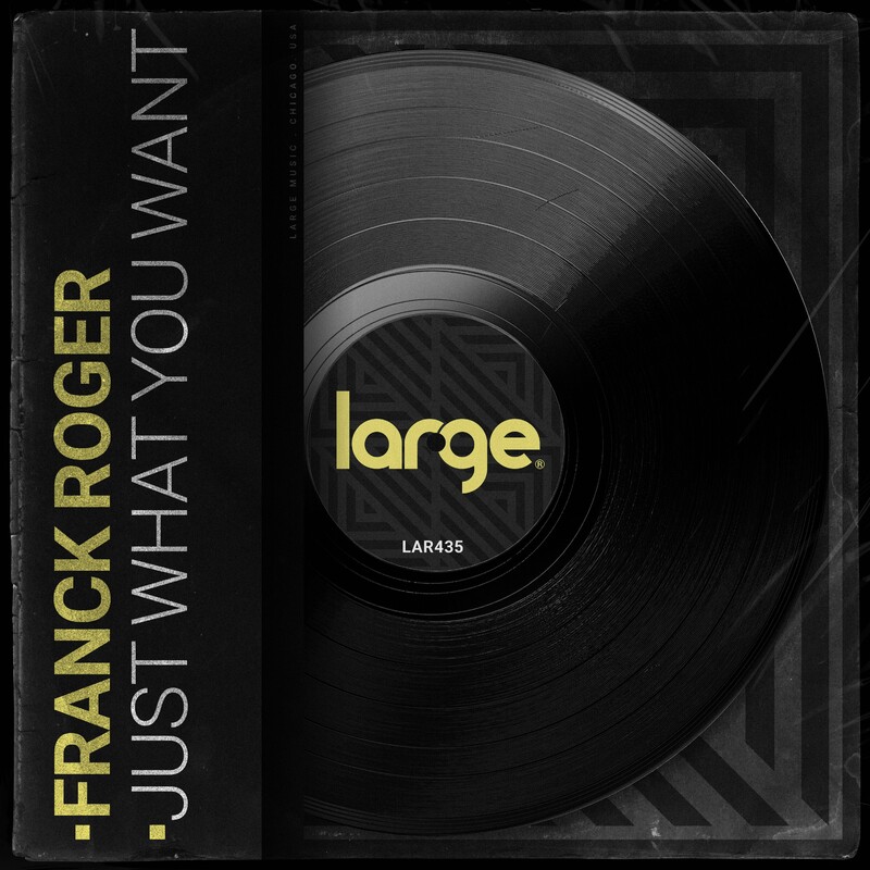 image cover: Franck Roger - Just What You Want on Large Music