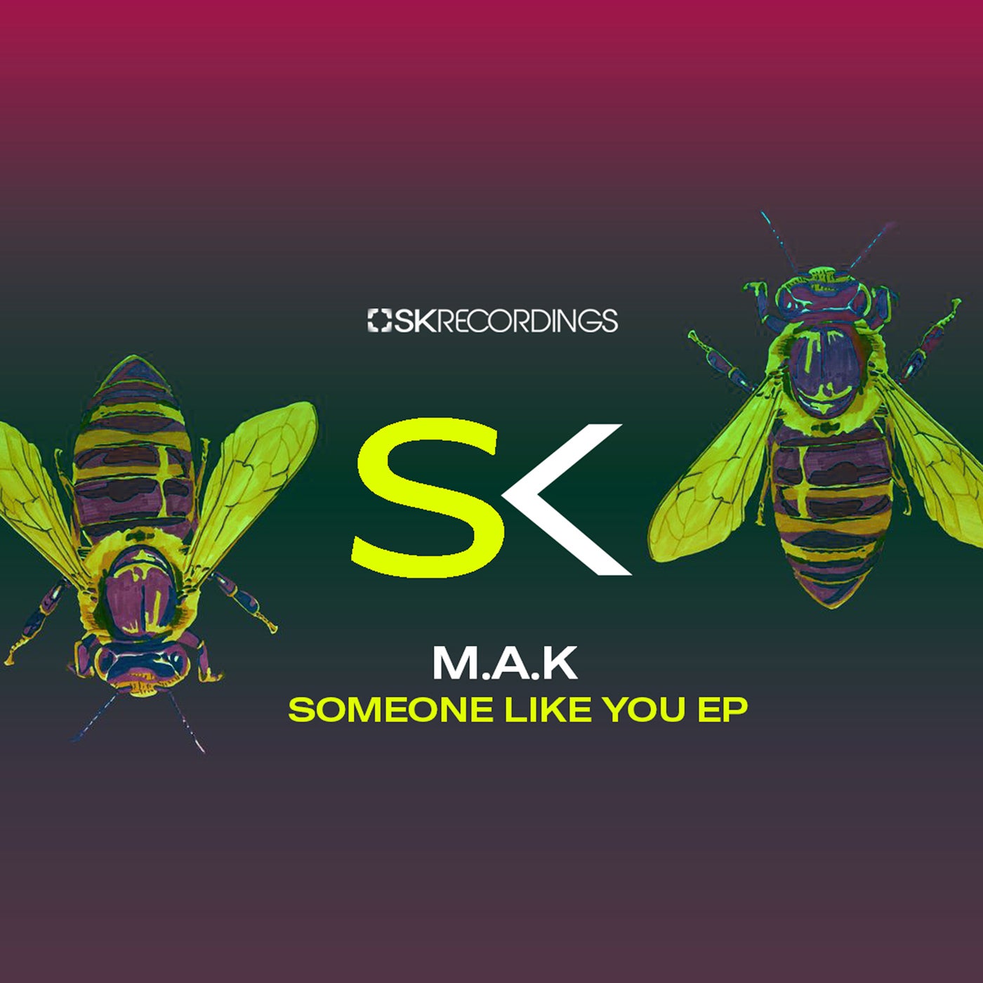 Release Cover: Someone Like You Download Free on Electrobuzz