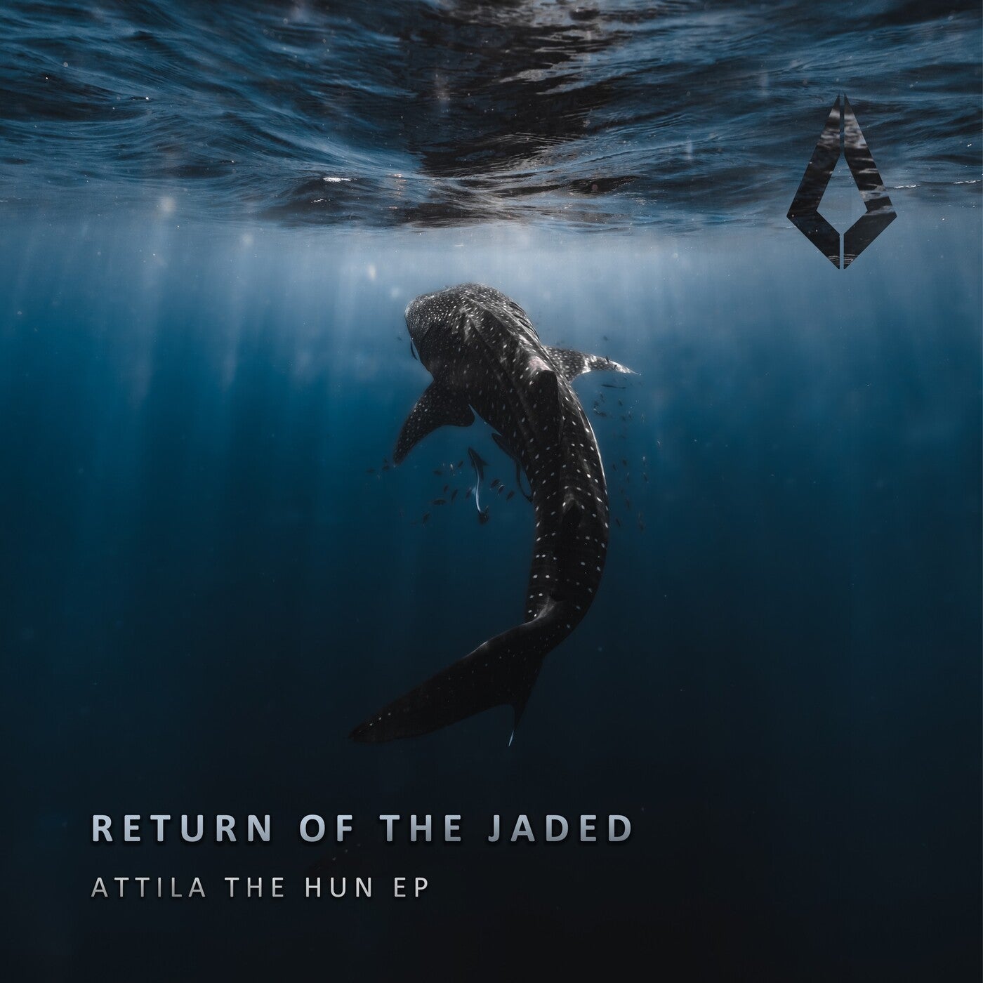 image cover: Return of the Jaded - Attila the Hun on Purified Records