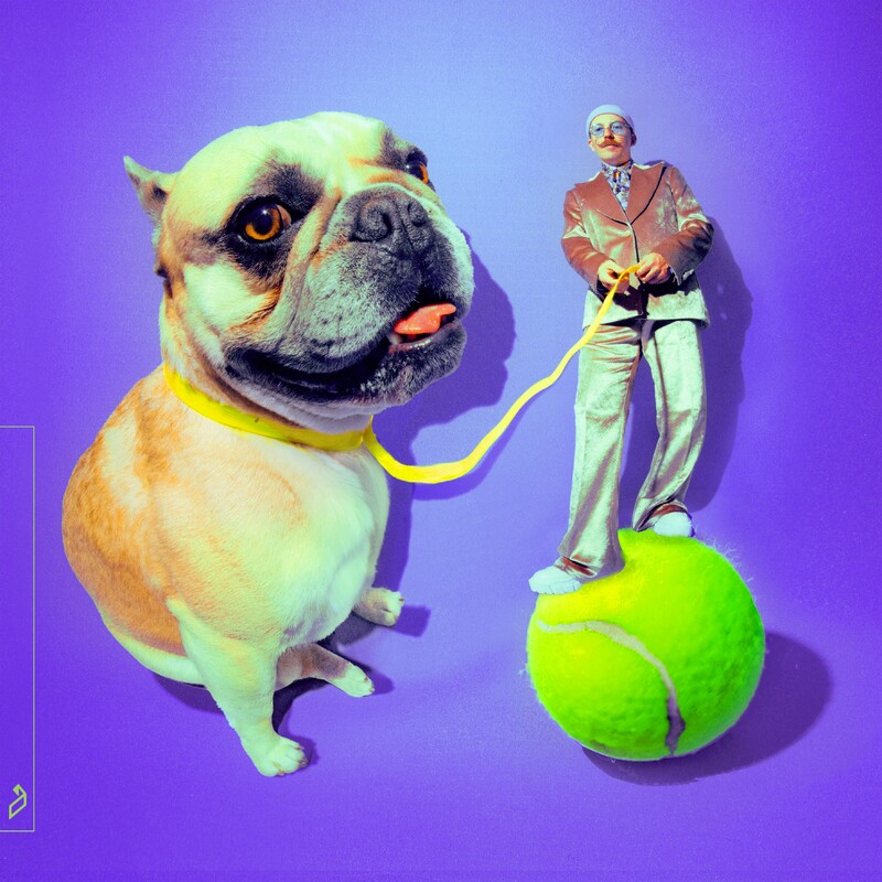 Release Cover: French Bulldog Download Free on Electrobuzz