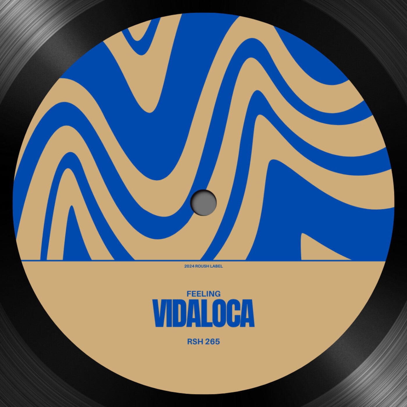 image cover: Vidaloca - Feeling on Roush Label