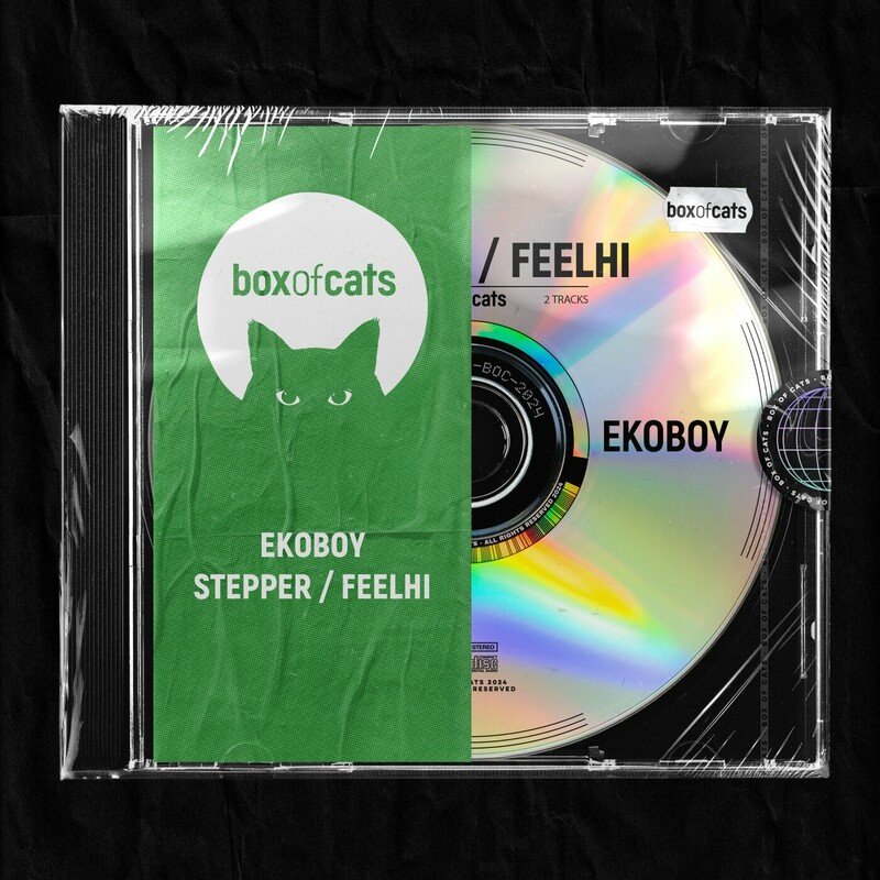 image cover: Ekoboy - Stepper / FeelHi on Box of Cats