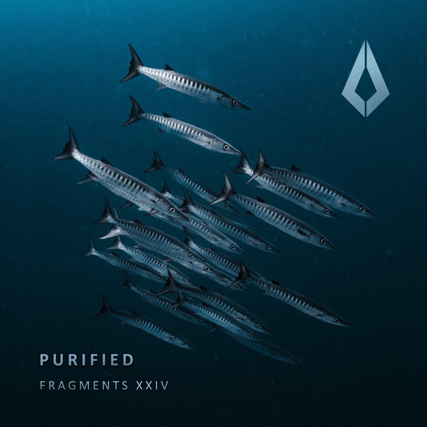 image cover: VA - Purified Fragments XXIV on Purified Records