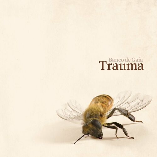 image cover: Banco De Gaia - Trauma on Disco Gecko Recordings