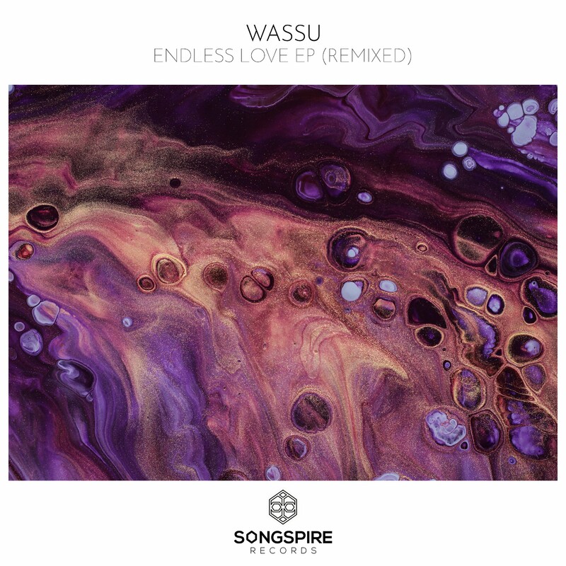 image cover: Wassu - Endless Love EP (Remixed) on SongSpire Records