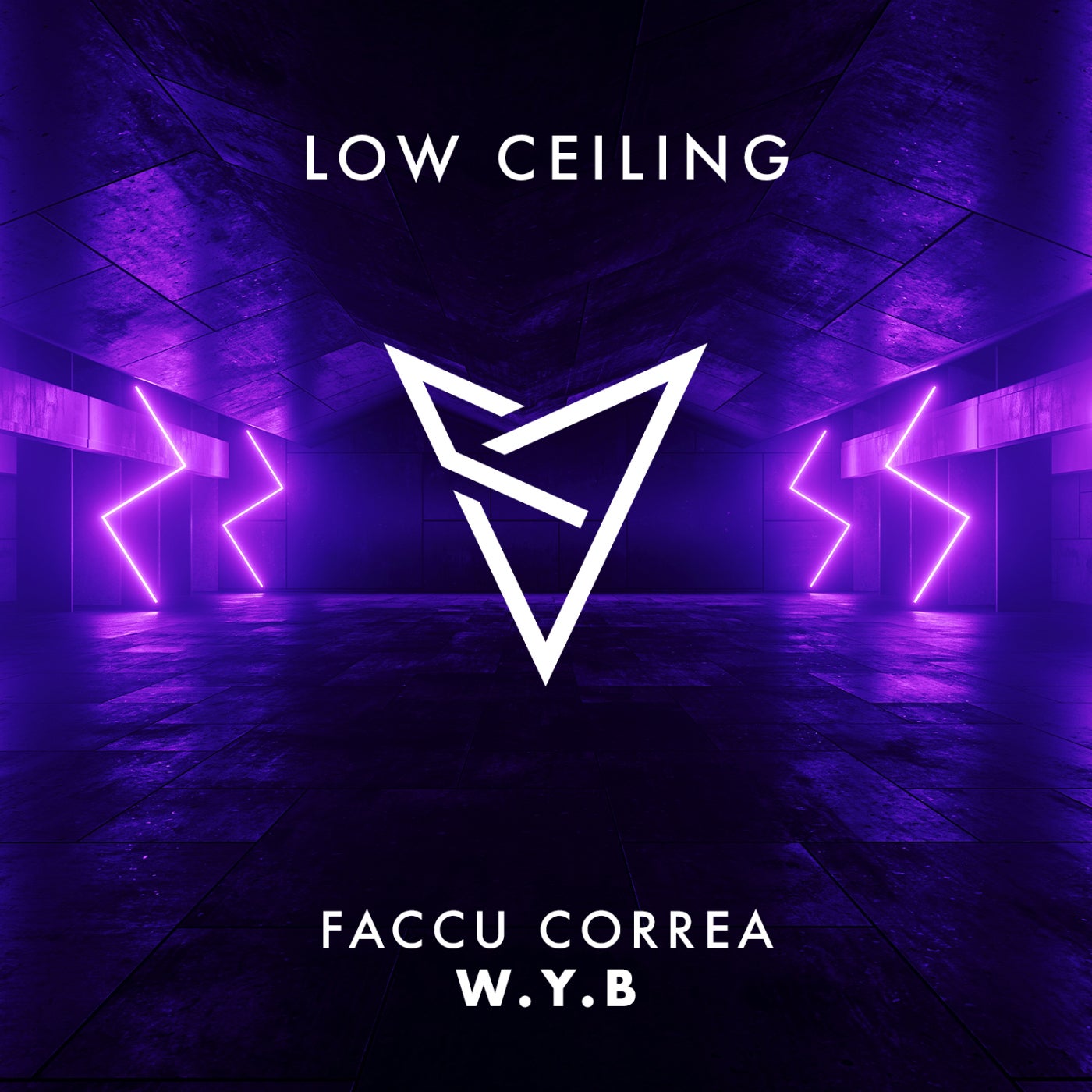 image cover: Faccu Correa - W.Y.B on LOW CEILING