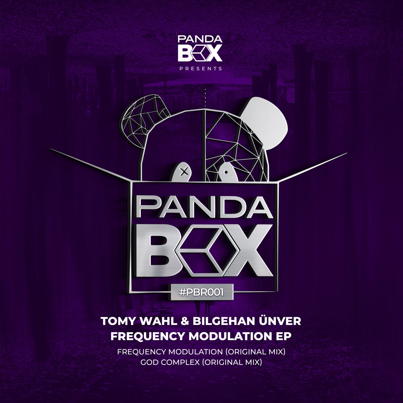 image cover: Tomy Wahl, Bilgehan Ünver - Frequency Modulation on Panda Box Records