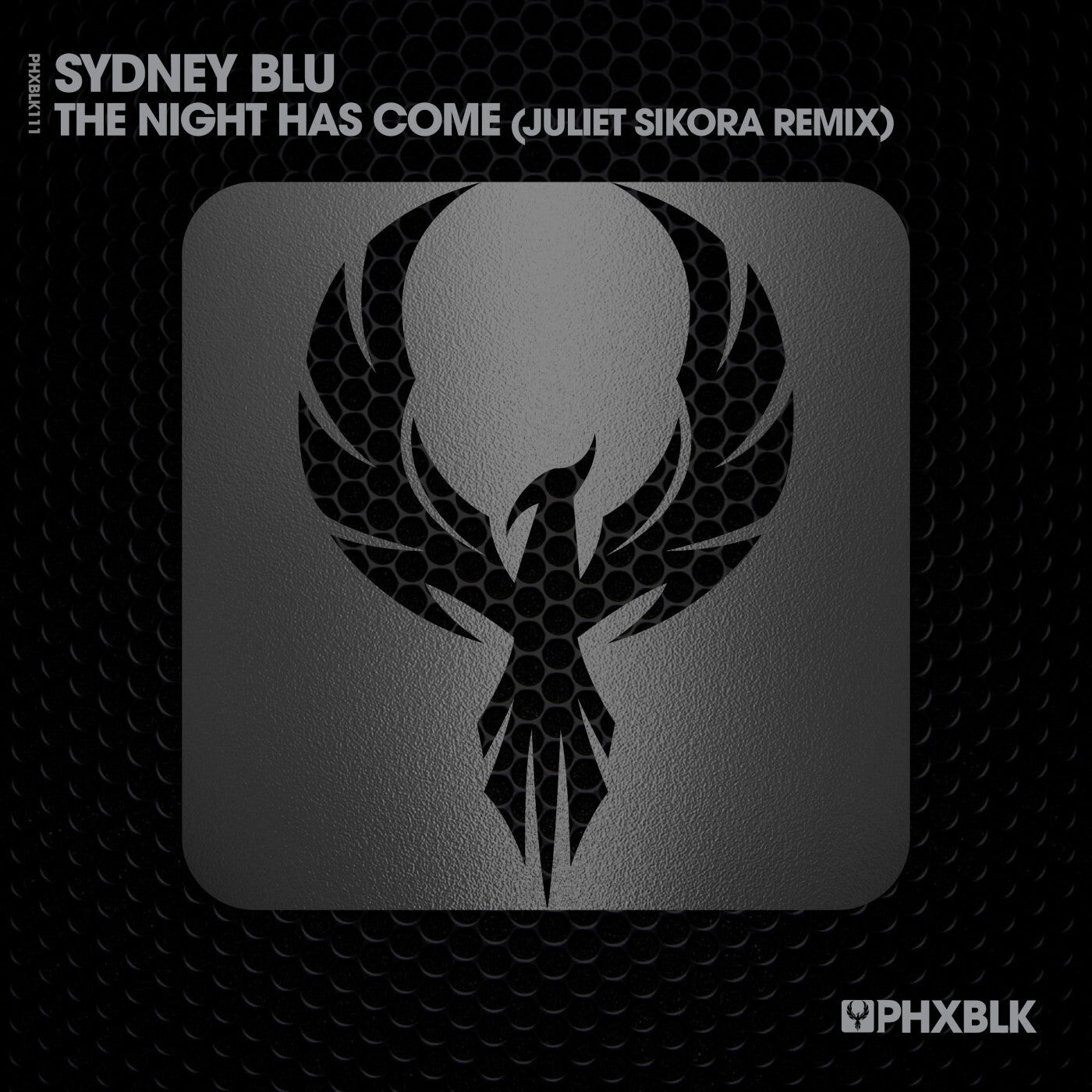 Release Cover: The Night Has Come (Juliet Sikora Remix) Download Free on Electrobuzz