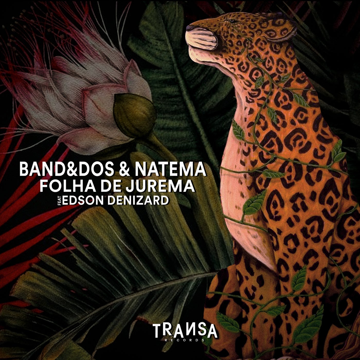 image cover: Natema, Band&dos, Edson Denizard - Folha de Jurema feat Edson Denizard on TRANSA RECORDS