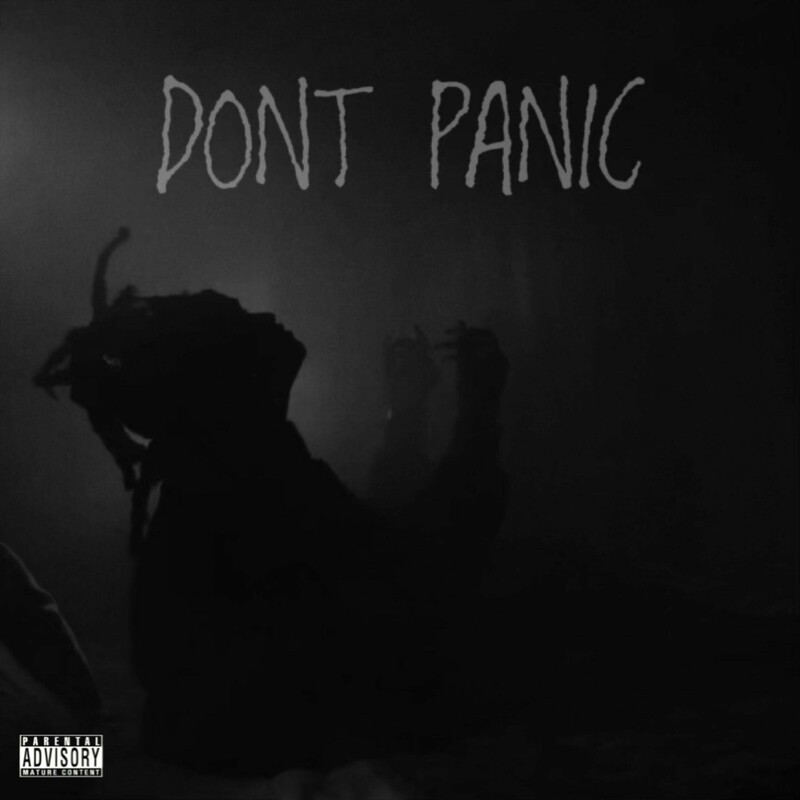 Release Cover: Don'tPanic Download Free on Electrobuzz