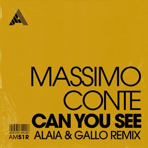 Release Cover: Can You See (Alaia & Gallo Remix) Download Free on Electrobuzz