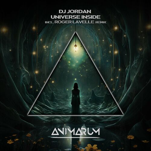 image cover: DJ Jordan - Universe Inside on Animarum Recordings