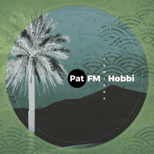 image cover: Pat FM - Hobbi (Remixes) on ANALOGmusiq