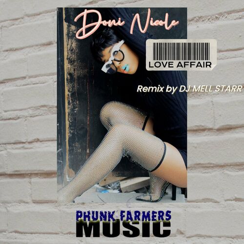 image cover: Doni Nicole - Love Affair (DJ MELL STARR Remix) on SLM Music