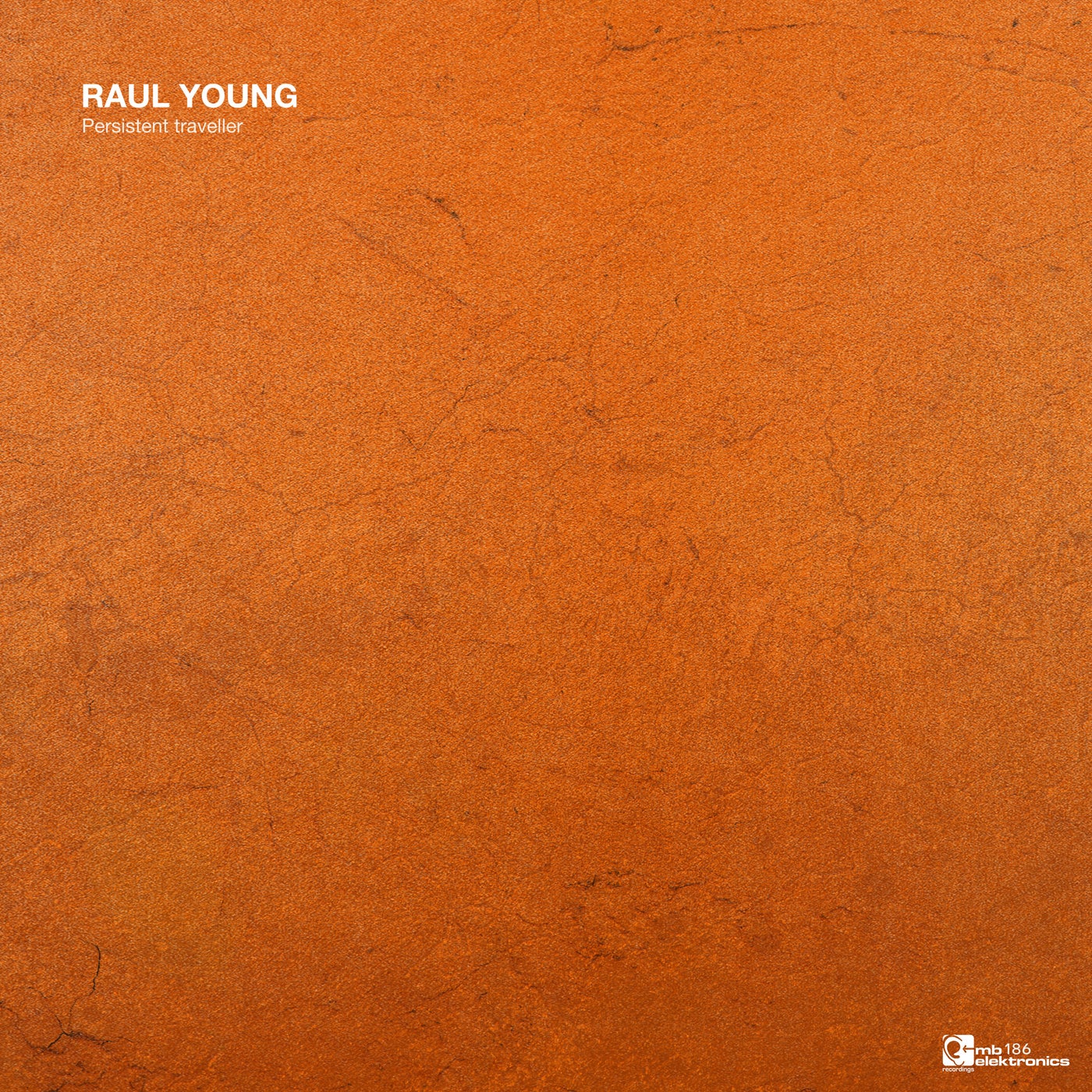 image cover: Raul Young - Persistent Traveller EP on MB Elektronics