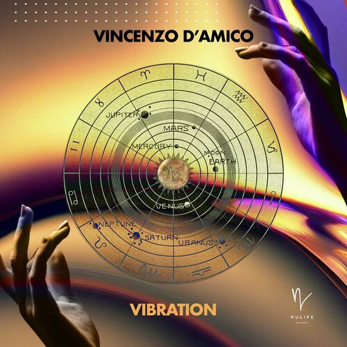 image cover: Vincenzo D'amico - Vibration on Nulife Records