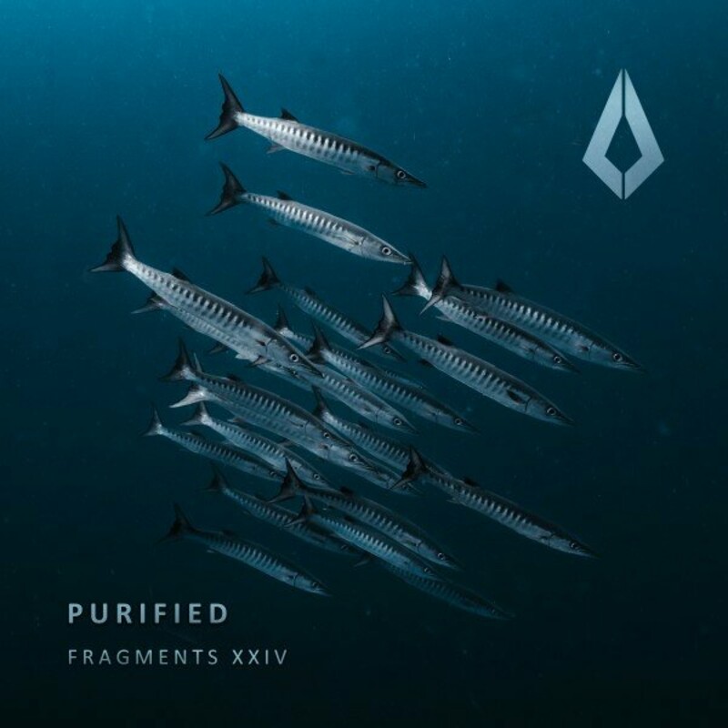 Release Cover: Purified Fragments XXIV Download Free on Electrobuzz