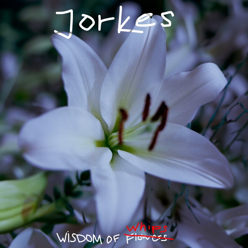 image cover: Jorkes - Wisdom of Whips on Permanent Vacation