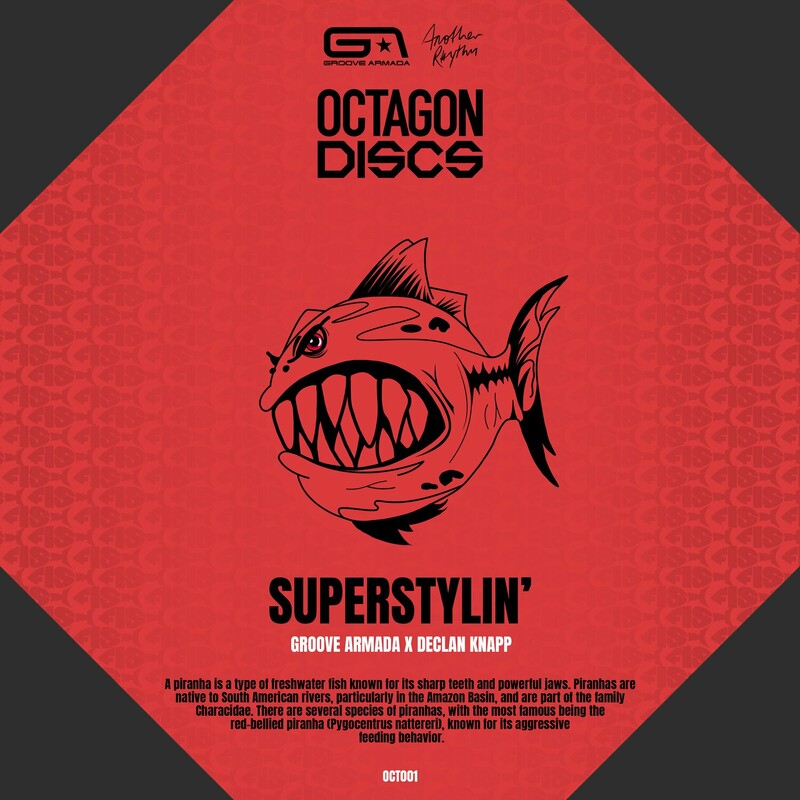 image cover: Groove Armada - Superstylin' on Octagon Discs