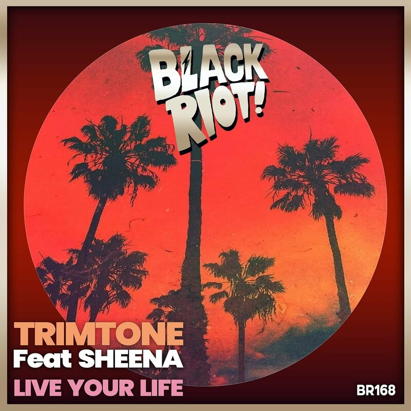 image cover: Trimtone - Live Your Life on Black Riot