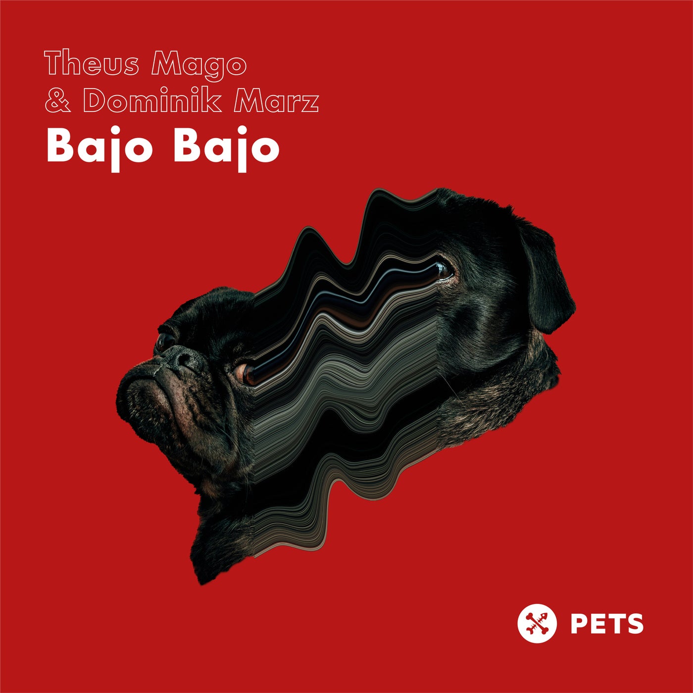 image cover: Dominik Marz, Theus Mago - Bajo Bajo EP on (Pets Recordings)