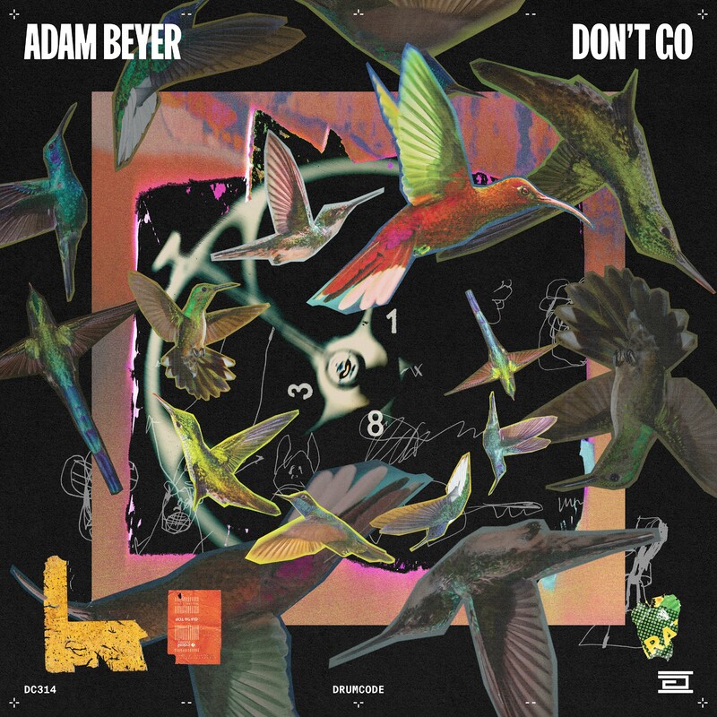 Release Cover: Don't Go Download Free on Electrobuzz